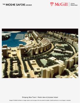 Simpang New Town