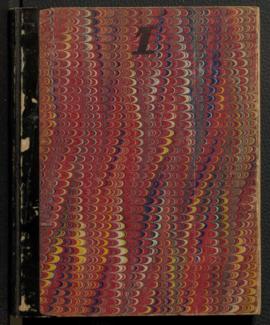 Geology notebook, volume I, 1870-1871