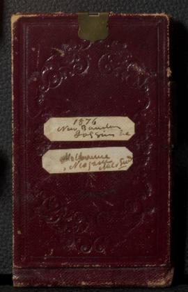 West coast diary and new boundary notebook, 1876