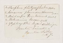 Letter, 31 March 1878