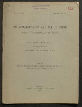 On Nematophyton and allied forms from the Devonian of Gaspé