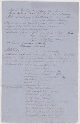 Fossil Plants of the Sydney Coal Measures