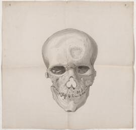 Painting, human skull