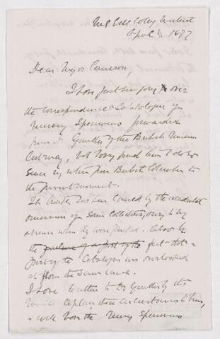 Open original Digital object