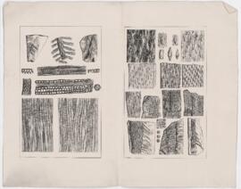 Sheet, fossil drawings