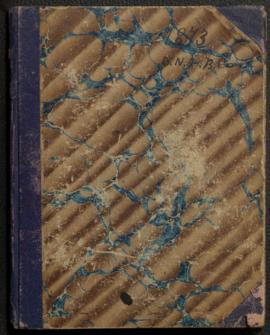 Private diary and geological notes, 1873