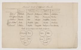 Animal Groups of Different Ranks