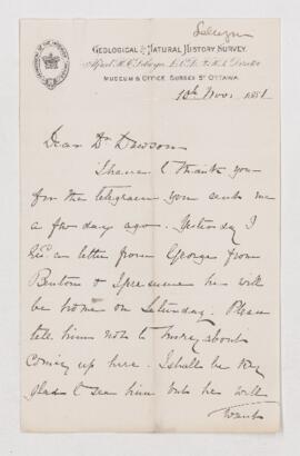 Letter, 10 November 1881