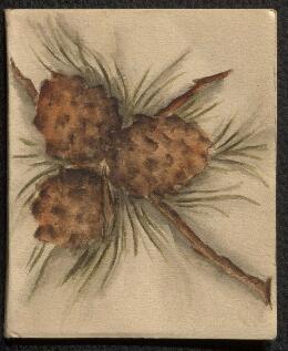 Helen Kermott Penfield, memorabilia and correspondence.