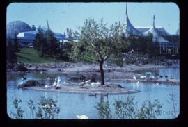 Parc Notre Dame Wildlife