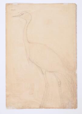 [Unidentified crane]