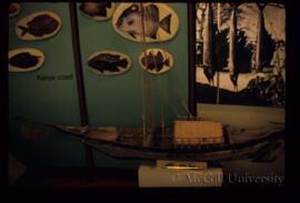 Arab Dhow Model