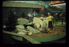 Fish Fry 1