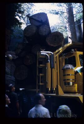 Log Transport Vehicle