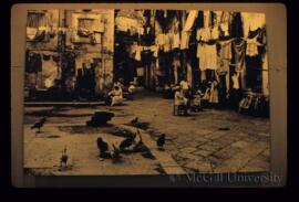 Friendship Amidst Squalor
