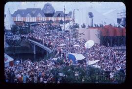 Swarm of Fans