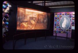 Projection Screen