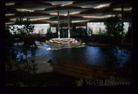 Indoor Garden and Pond