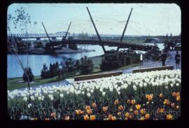 Parc Notre Dame