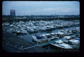 Full Marina