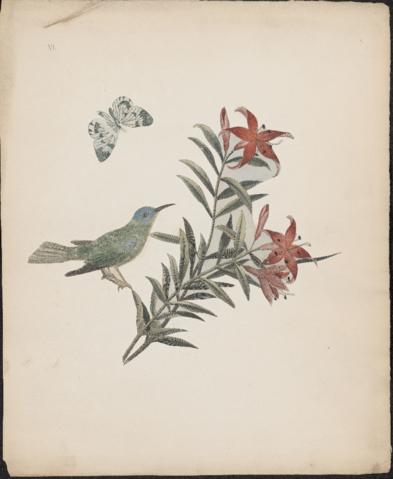 Open original Digital object